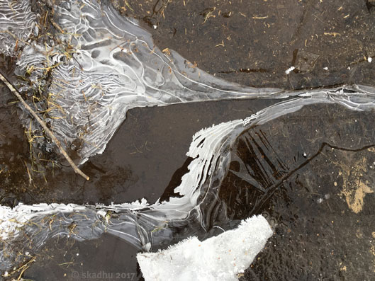 ice on puddle