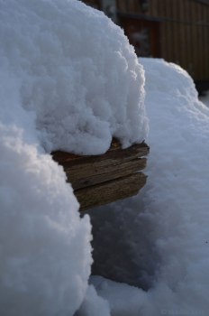 snow on snake fencing